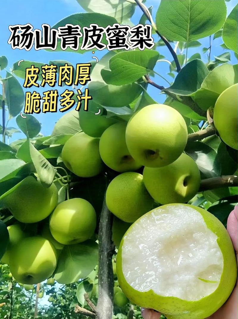 安徽省有什么美食特产？能够方便携带的，宁国种植出优质水果的地方。 安徽省有什么美食特产？能够方便携带的，宁国种植出优质水果的地方。 家禽养殖