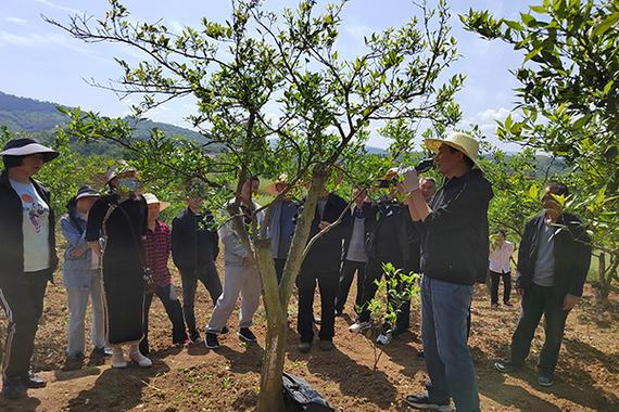 农民该如何去发展有机水果种植，种植水果技术视频教学大全。 农民该如何去发展有机水果种植，种植水果技术视频教学大全。 畜牧养殖