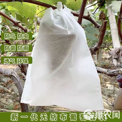 种植水果，有什么方法可以不用套袋却能生产出和套袋一样的优质果，水果的简单种植妙招视频。 种植水果，有什么方法可以不用套袋却能生产出和套袋一样的优质果，水果的简单种植妙招视频。 蔬菜种植