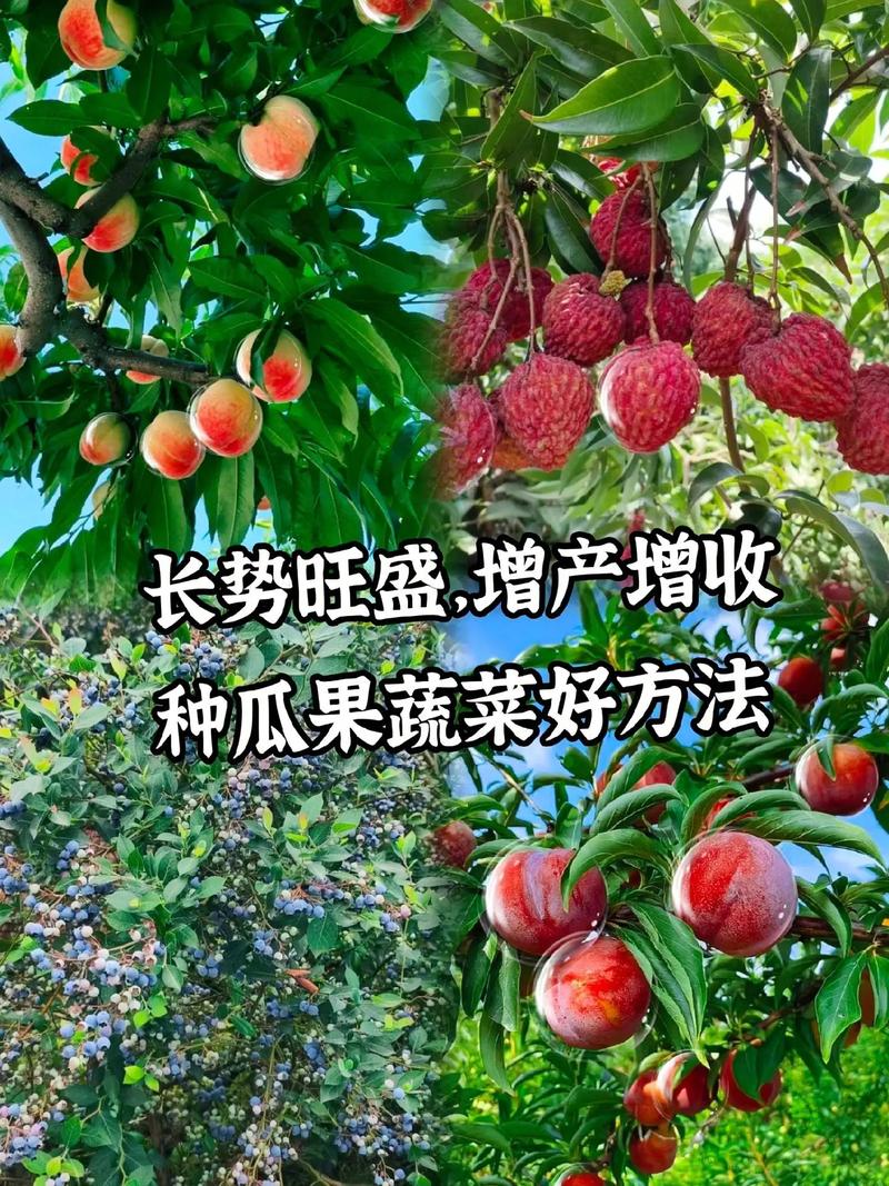 农村夏季一般种植什么蔬菜水果，夏天水果种植教程视频。 农村夏季一般种植什么蔬菜水果，夏天水果种植教程视频。 土壤施肥