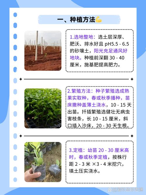 二地流转后，把麦苗弃耕，栽果树可以吗？举报有用吗，种植水果土地流转方案。 二地流转后，把麦苗弃耕，栽果树可以吗？举报有用吗，种植水果土地流转方案。 水果种植