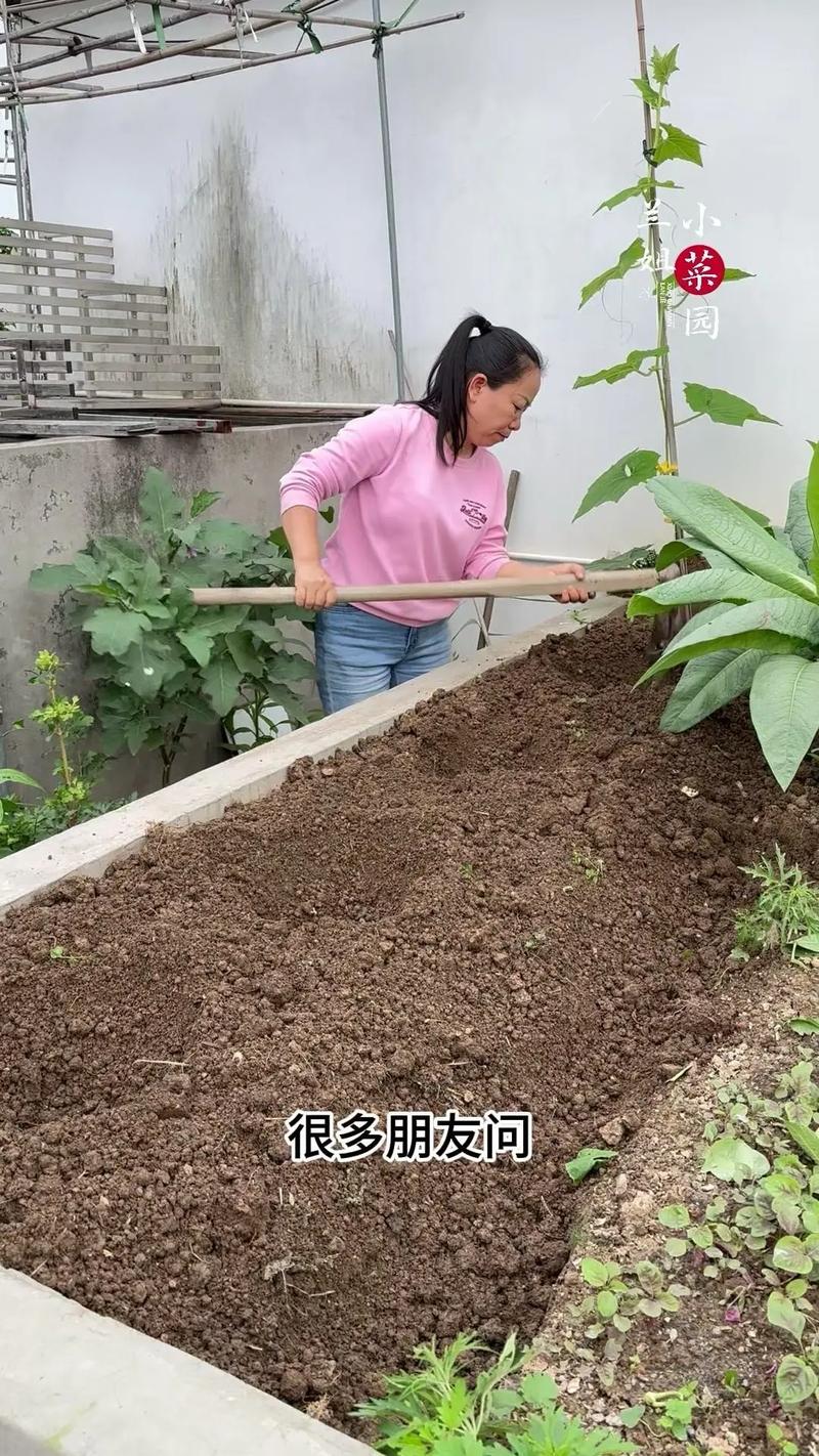 怎么种蔬菜和水果，疏菜水果种植技术视频。 怎么种蔬菜和水果，疏菜水果种植技术视频。 畜牧养殖