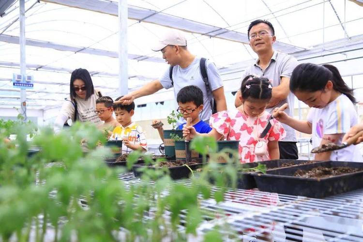 家人上年纪，不方便种地，本人想学种植技术，应该去哪儿学，去哪里学种植水果技术。 家人上年纪，不方便种地，本人想学种植技术，应该去哪儿学，去哪里学种植水果技术。 土壤施肥