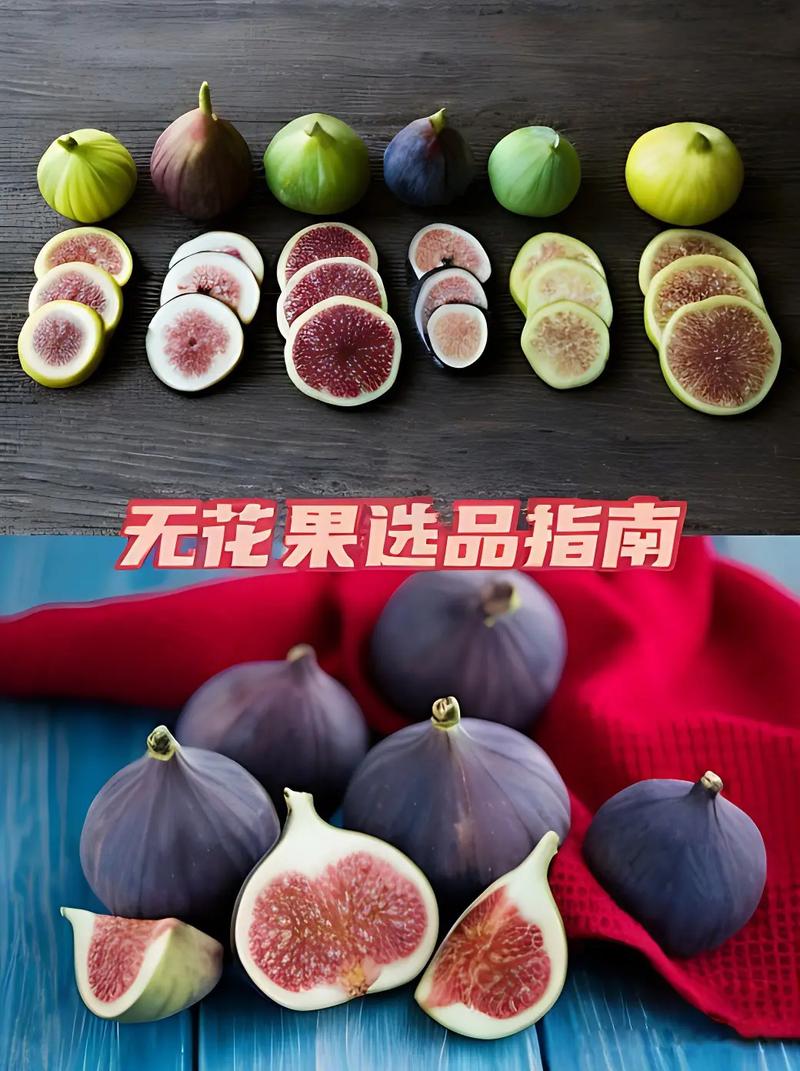 无花果适合南方种植的什么品种好，新疆种植南方水果的优势。 无花果适合南方种植的什么品种好，新疆种植南方水果的优势。 家禽养殖