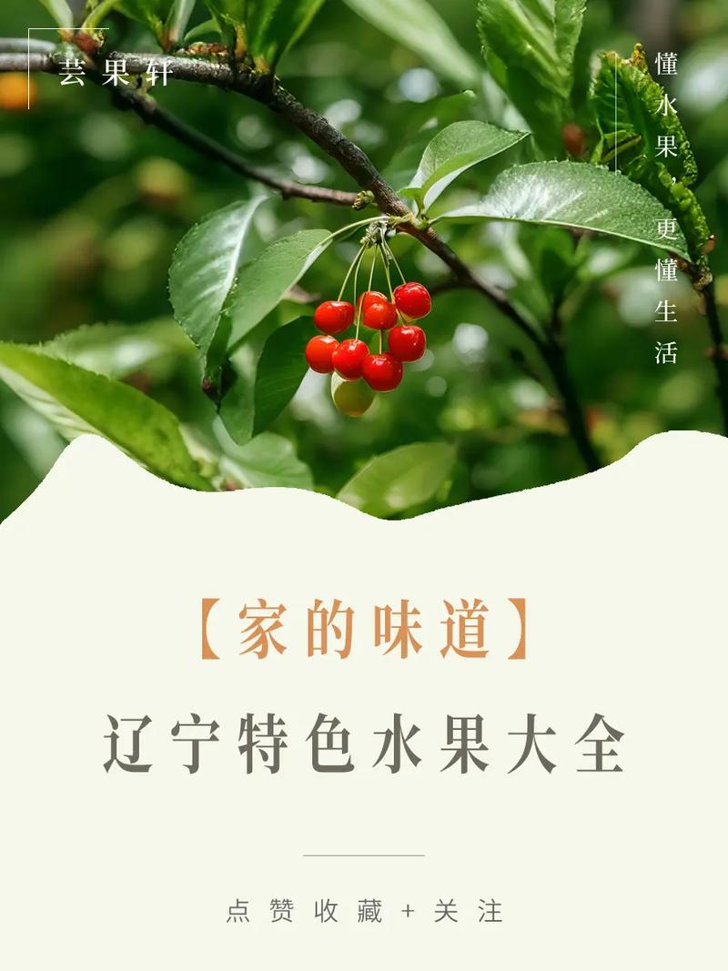 东北的水果来源，辽宁农业种植水果有哪些。 东北的水果来源，辽宁农业种植水果有哪些。 畜牧养殖