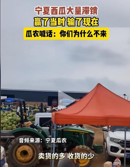 农产品滞销有多可怕？对农民有什么影响？怎么解决，国内种植水果滞销原因。 农产品滞销有多可怕？对农民有什么影响？怎么解决，国内种植水果滞销原因。 畜牧养殖