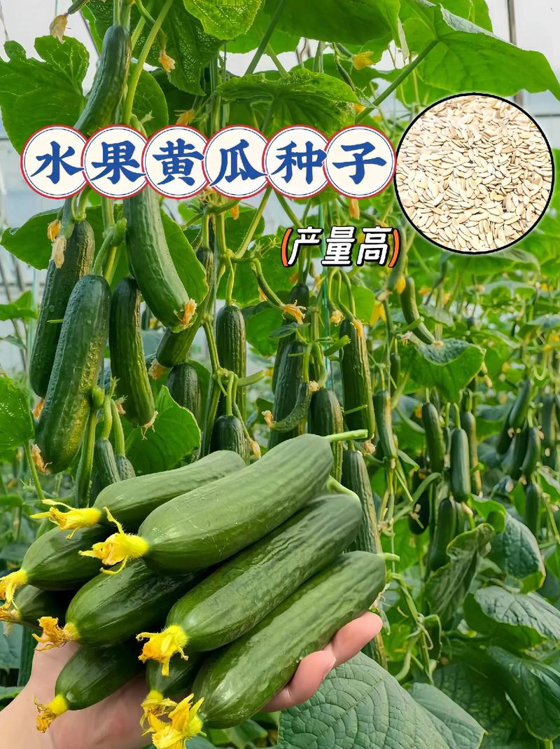 农业第四季度种的瓜果蔬菜有哪几种，水果种植属于农业吗。 农业第四季度种的瓜果蔬菜有哪几种，水果种植属于农业吗。 水果种植