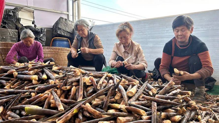 松皮石产自哪里，柳州水果竹笋种植基地在哪里。 松皮石产自哪里，柳州水果竹笋种植基地在哪里。 家禽养殖