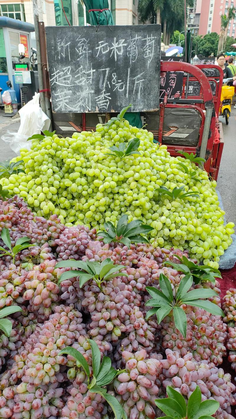 北海百香果上市时间，广西玉林水果种植时间表。 北海百香果上市时间，广西玉林水果种植时间表。 畜牧养殖