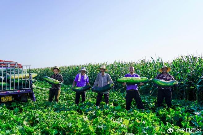 农民怎么才能在耕地上种水果，种植水果一年能挣多少钱。 农民怎么才能在耕地上种水果，种植水果一年能挣多少钱。 畜牧养殖