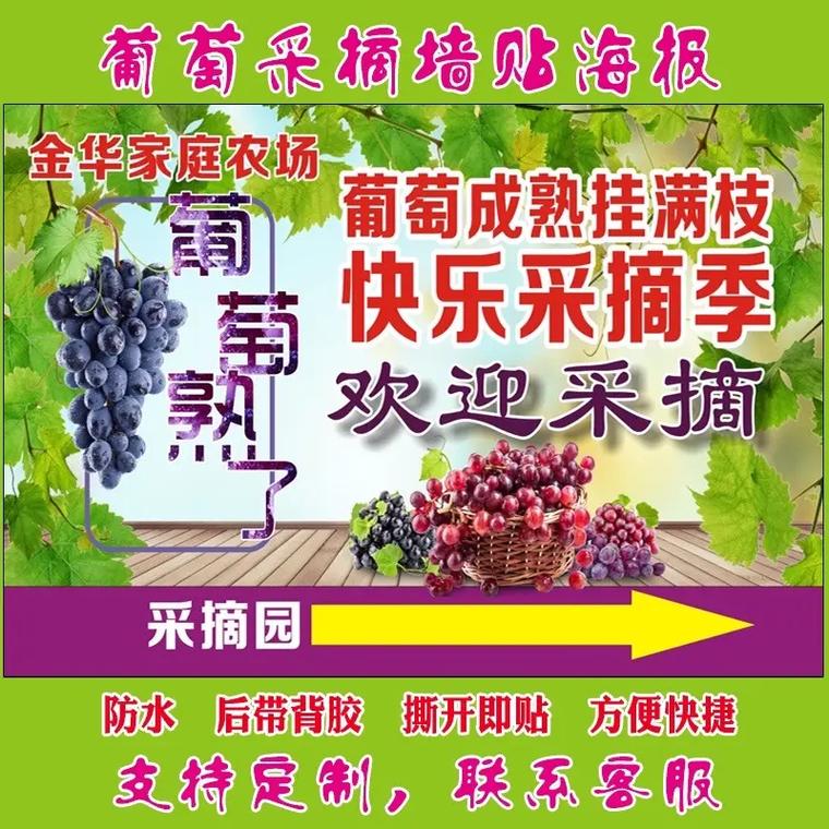 怎样写，水果广告单，水果基地种植广告语。 怎样写，水果广告单，水果基地种植广告语。 蔬菜种植