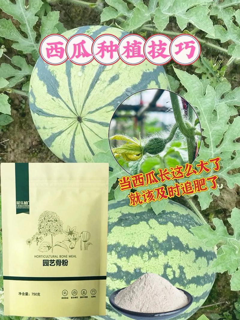 种植果蔬，如何才能提高土壤肥力，水果种植质量控制措施。 种植果蔬，如何才能提高土壤肥力，水果种植质量控制措施。 蔬菜种植