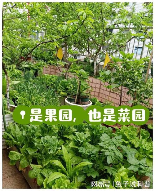 院子里有一片空地，想种植一些蔬菜瓜果，现在的季节适合种什么，今年可以种植哪些水果呢。 院子里有一片空地，想种植一些蔬菜瓜果，现在的季节适合种什么，今年可以种植哪些水果呢。 畜牧养殖