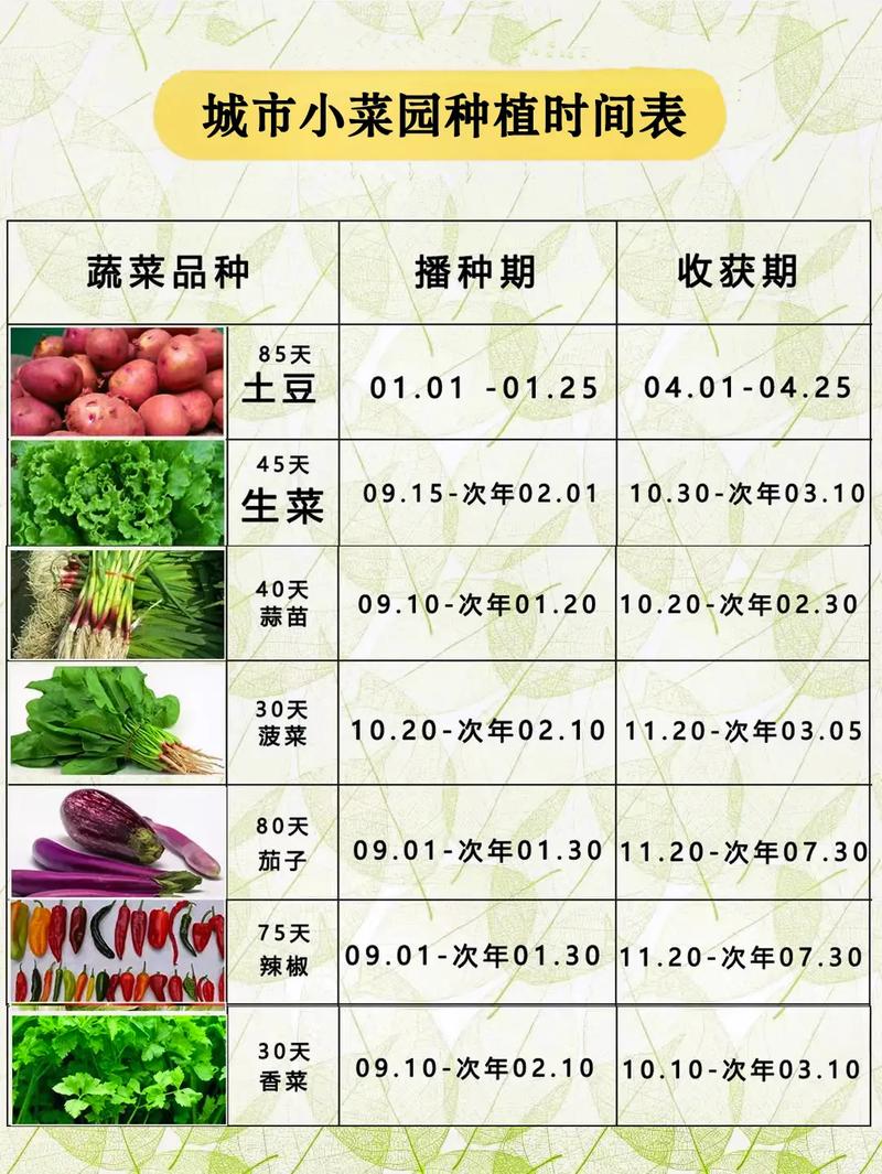 4月份了，农村家里的菜园子现在适合种植哪些蔬菜，水果蔬菜种植项目简介。 4月份了，农村家里的菜园子现在适合种植哪些蔬菜，水果蔬菜种植项目简介。 蔬菜种植