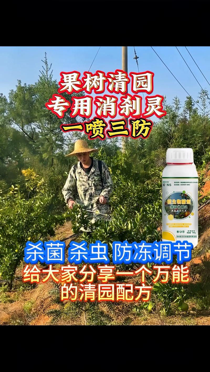 高锰酸钾可用来做果园，果树消毒吗，种植水果打药降酸药有哪些。 高锰酸钾可用来做果园，果树消毒吗，种植水果打药降酸药有哪些。 蔬菜种植