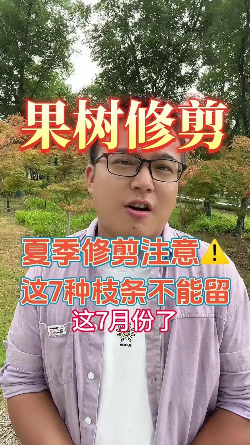 果树挂果时可以修枝吗，水果花草种植修剪视频。 果树挂果时可以修枝吗，水果花草种植修剪视频。 土壤施肥