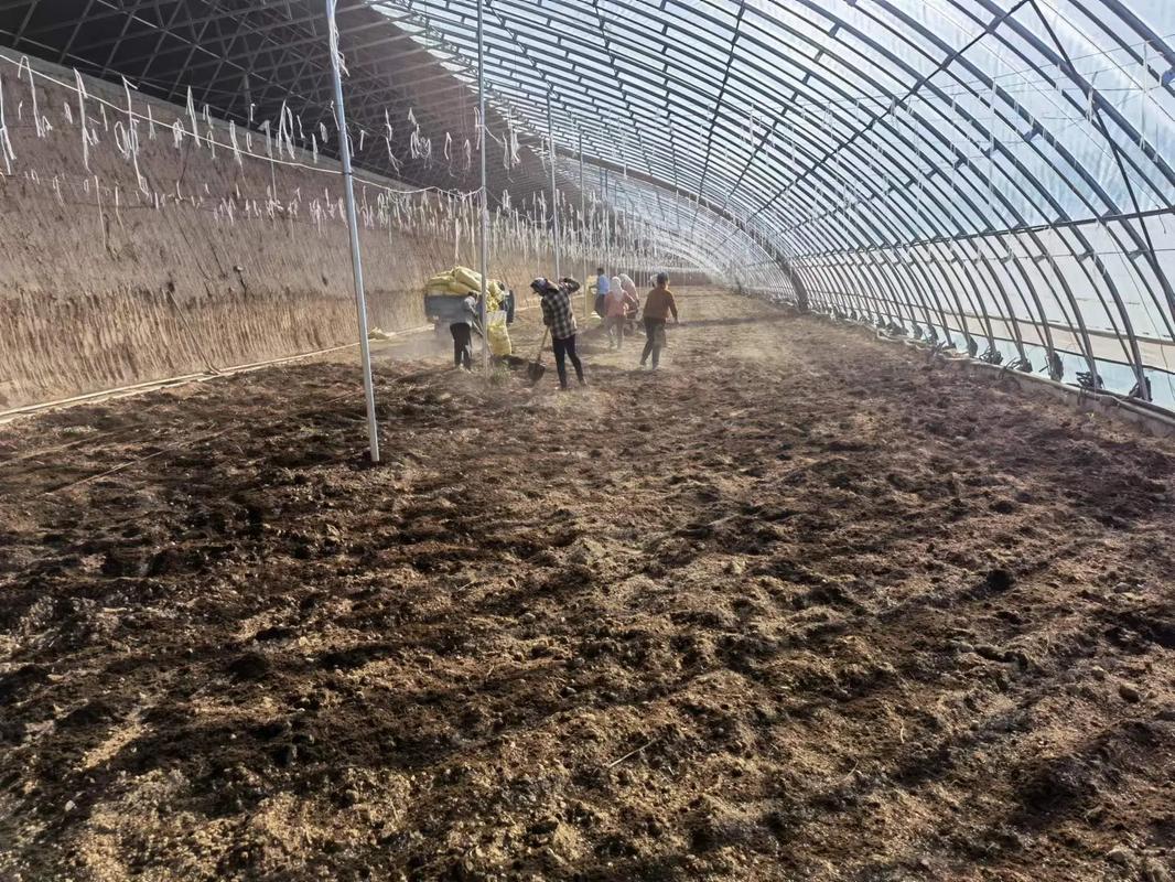 纯沙土地种植什么好，水果自储水种植套件有哪些。 纯沙土地种植什么好，水果自储水种植套件有哪些。 畜牧养殖