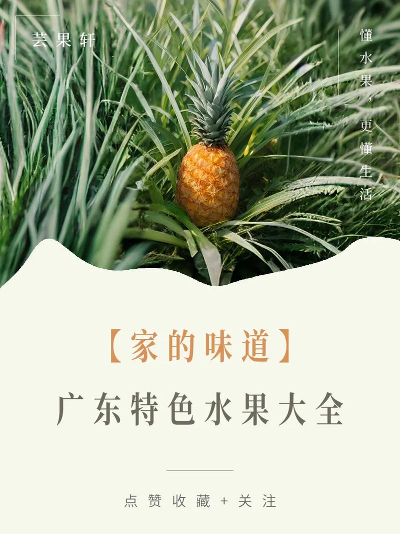 广东适合种植哪些比较好吃的水果，什么水果适合广东种植呢。 广东适合种植哪些比较好吃的水果，什么水果适合广东种植呢。 畜牧养殖