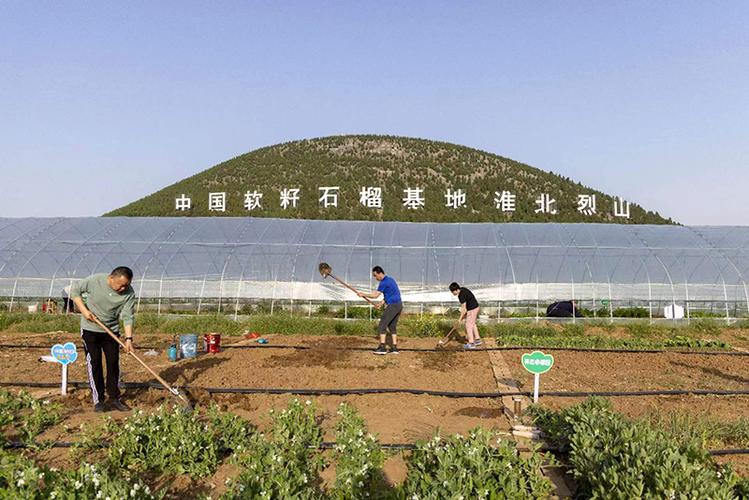 山地环境好，交通方便，种植什么果树好，淮北种植出优质水果的地方。 山地环境好，交通方便，种植什么果树好，淮北种植出优质水果的地方。 蔬菜种植