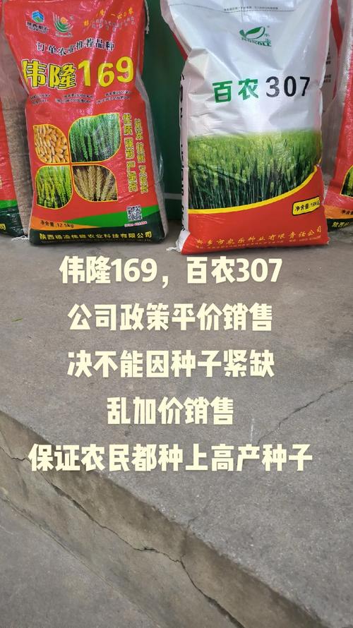 百农307小麦盛产河南哪个县，桐柏水果芒果种植基地在哪里。 百农307小麦盛产河南哪个县，桐柏水果芒果种植基地在哪里。 蔬菜种植