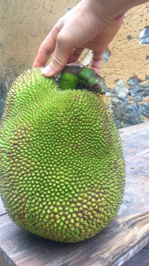 北海十大特产水果排行榜，北海种植水果吗好吗。 北海十大特产水果排行榜，北海种植水果吗好吗。 家禽养殖