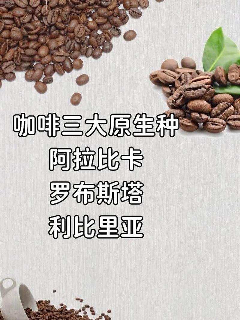 cafearabica是哪里的牌子，非洲苏丹种植水果有哪些。 cafearabica是哪里的牌子，非洲苏丹种植水果有哪些。 蔬菜种植