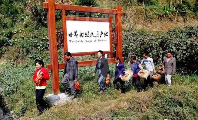 夷陵区龚家河可以种植什么最值钱的水果，保康城市水果种植基地在哪里。 夷陵区龚家河可以种植什么最值钱的水果，保康城市水果种植基地在哪里。 水果种植