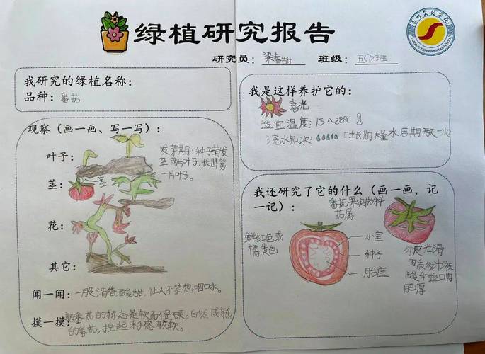 农业科技种植技术，水果花卉的种植方法有哪些。 农业科技种植技术，水果花卉的种植方法有哪些。 畜牧养殖