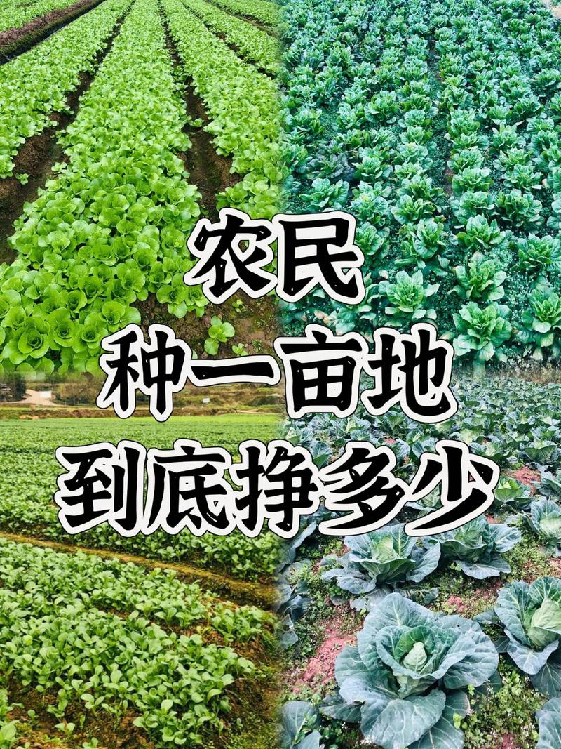 农业技术员指导农民发展水果种植业，一亩地收60元的技术指导费，这样的事情合理吗，水果种植要交什么税。 农业技术员指导农民发展水果种植业，一亩地收60元的技术指导费，这样的事情合理吗，水果种植要交什么税。 蔬菜种植