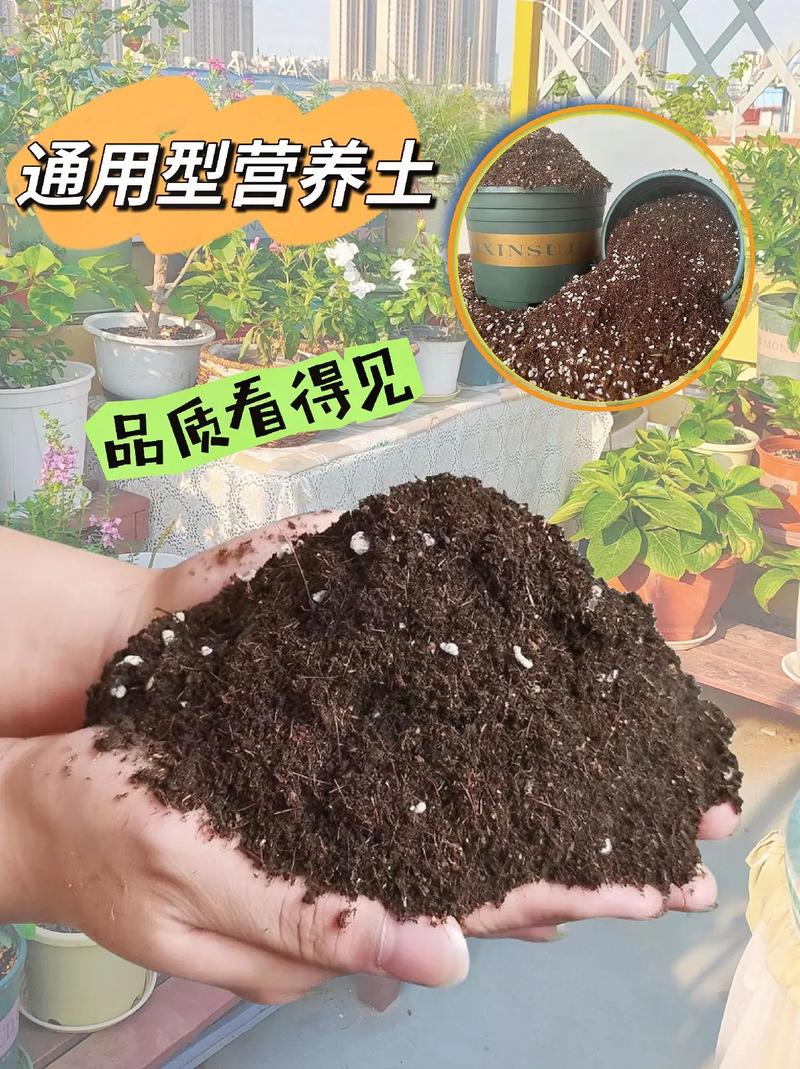 盆栽番石榴用什么土最好，水果种植需要泥炭土吗。 盆栽番石榴用什么土最好，水果种植需要泥炭土吗。 畜牧养殖