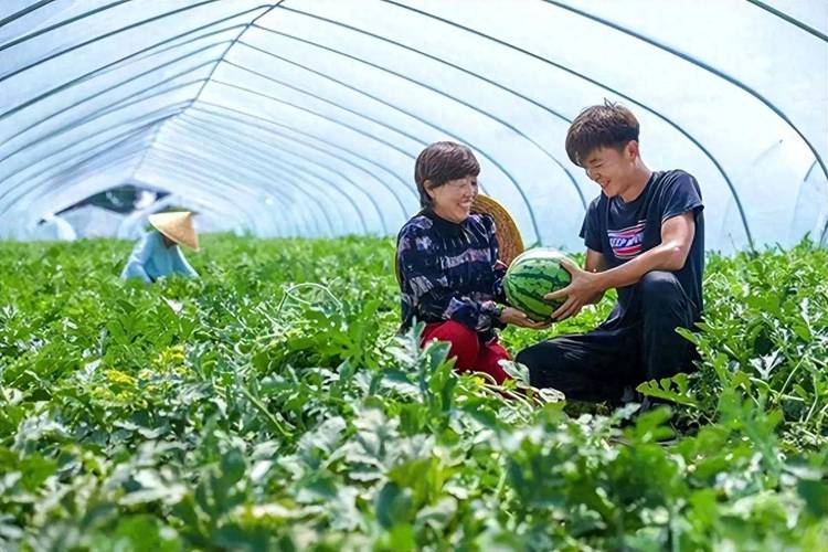 在黑龙江鸡西开什么店比较好做一点，鸡西水果西瓜种植基地。 在黑龙江鸡西开什么店比较好做一点，鸡西水果西瓜种植基地。 畜牧养殖