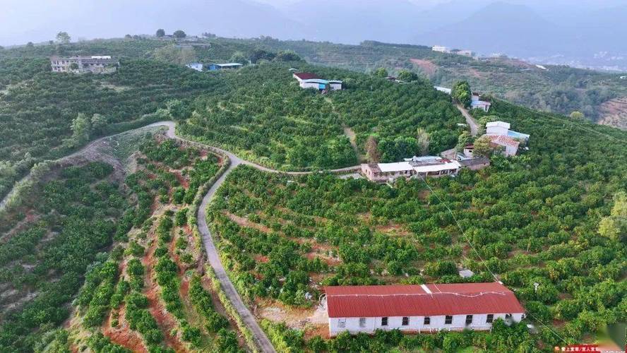 宜阳有那些特产什么，宜阳种植水果的地方在哪里。 宜阳有那些特产什么，宜阳种植水果的地方在哪里。 土壤施肥