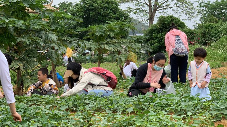 仙游乌墩水果生态园有什么好玩的，种植水果生态园图片。 仙游乌墩水果生态园有什么好玩的，种植水果生态园图片。 水果种植