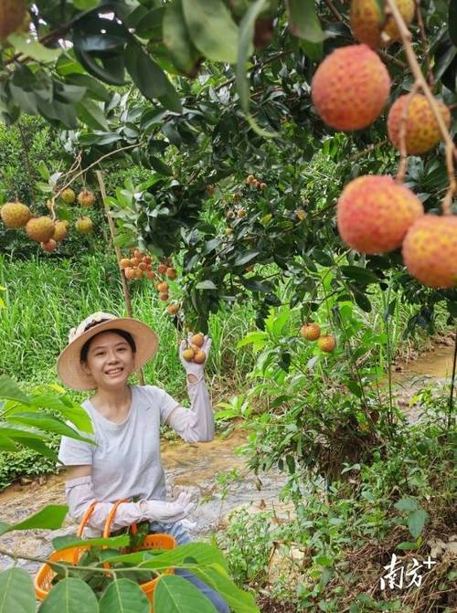 谁知道广西贺州有什么特产吗，昭平水果种植面积。 谁知道广西贺州有什么特产吗，昭平水果种植面积。 水果种植