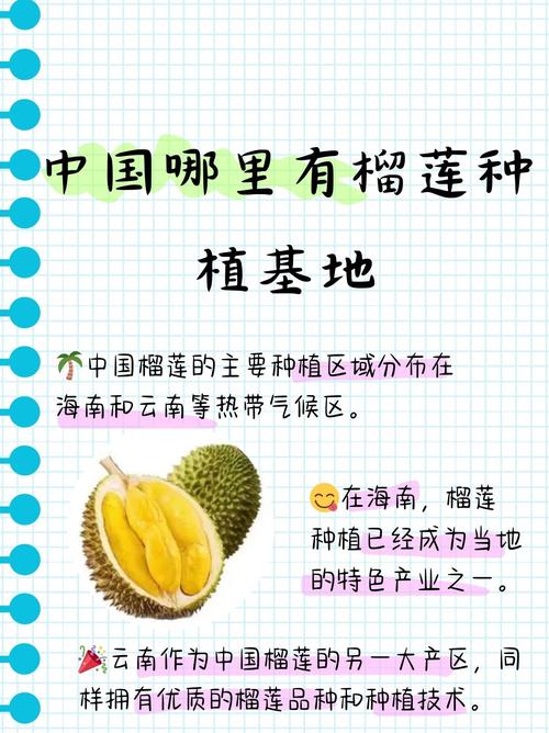 有哪些食品可以给你留下深刻记忆，广元水果榴莲种植基地在哪里。 有哪些食品可以给你留下深刻记忆，广元水果榴莲种植基地在哪里。 家禽养殖