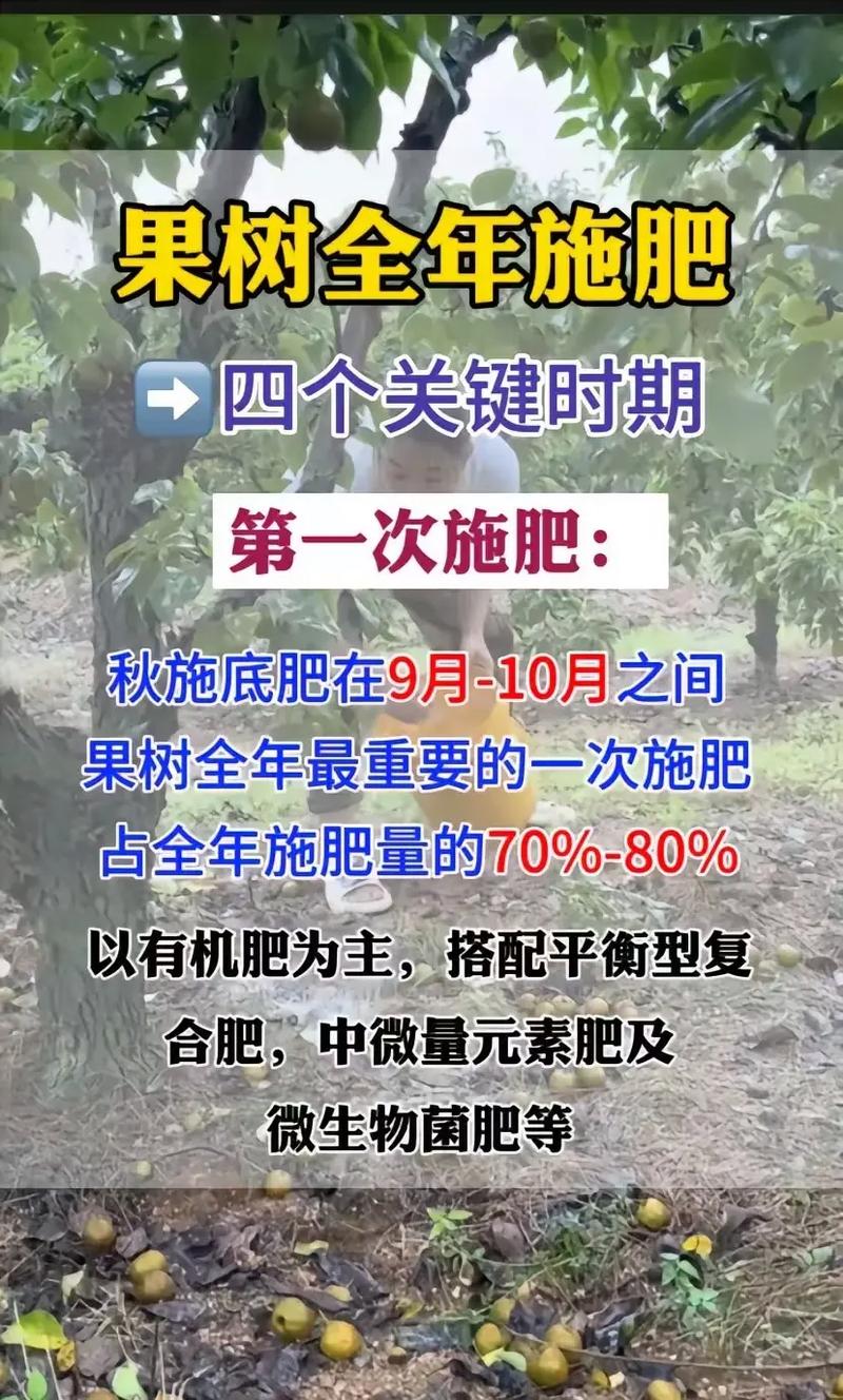 果树如何施肥。什么时候施肥最好，果园种植水果怎么施肥视频。 果树如何施肥。什么时候施肥最好，果园种植水果怎么施肥视频。 土壤施肥