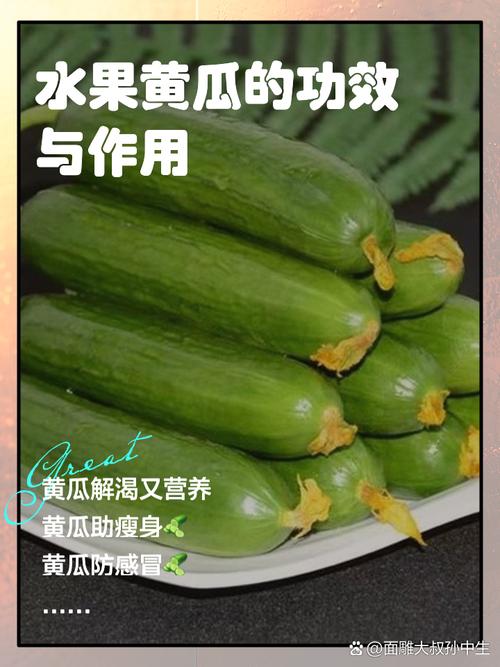 黄瓜和西红柿到底是蔬菜还是水果，美国水果黄瓜种植时间。 黄瓜和西红柿到底是蔬菜还是水果，美国水果黄瓜种植时间。 土壤施肥