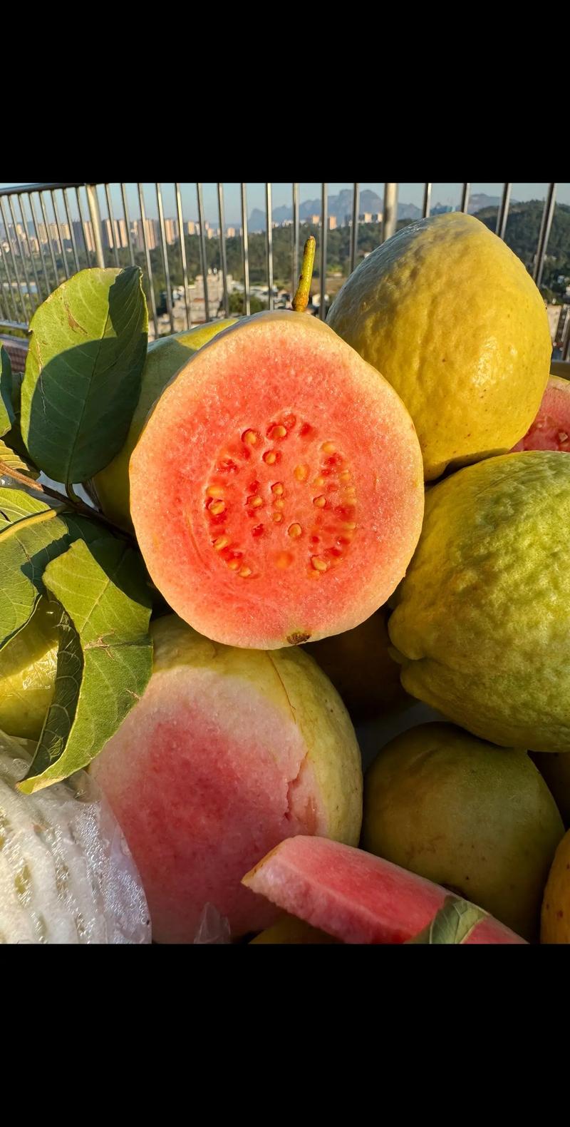 芭芭农场水果怎么样，农庄种植什么水果好呢。 芭芭农场水果怎么样，农庄种植什么水果好呢。 蔬菜种植