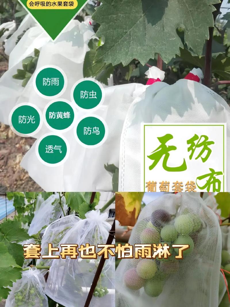 种植水果，有什么方法可以不用套袋却能生产出和套袋一样的优质果，奇葩的水果种植方式有哪些。 种植水果，有什么方法可以不用套袋却能生产出和套袋一样的优质果，奇葩的水果种植方式有哪些。 家禽养殖