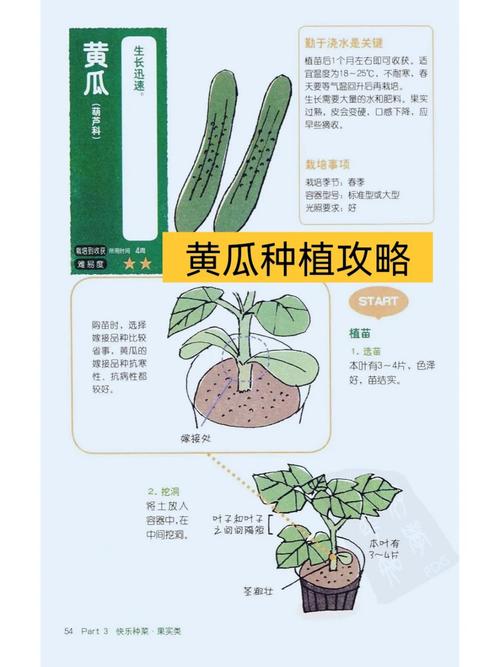 水果黄瓜露天种植时间与方法，水果黄瓜种植时长多少。 水果黄瓜露天种植时间与方法，水果黄瓜种植时长多少。 水果种植