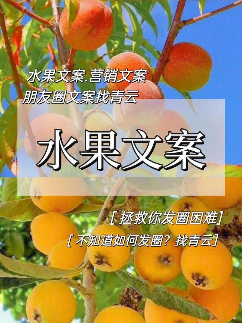 原生态水果走心文案，种植生态水果文案怎么写。 原生态水果走心文案，种植生态水果文案怎么写。 土壤施肥