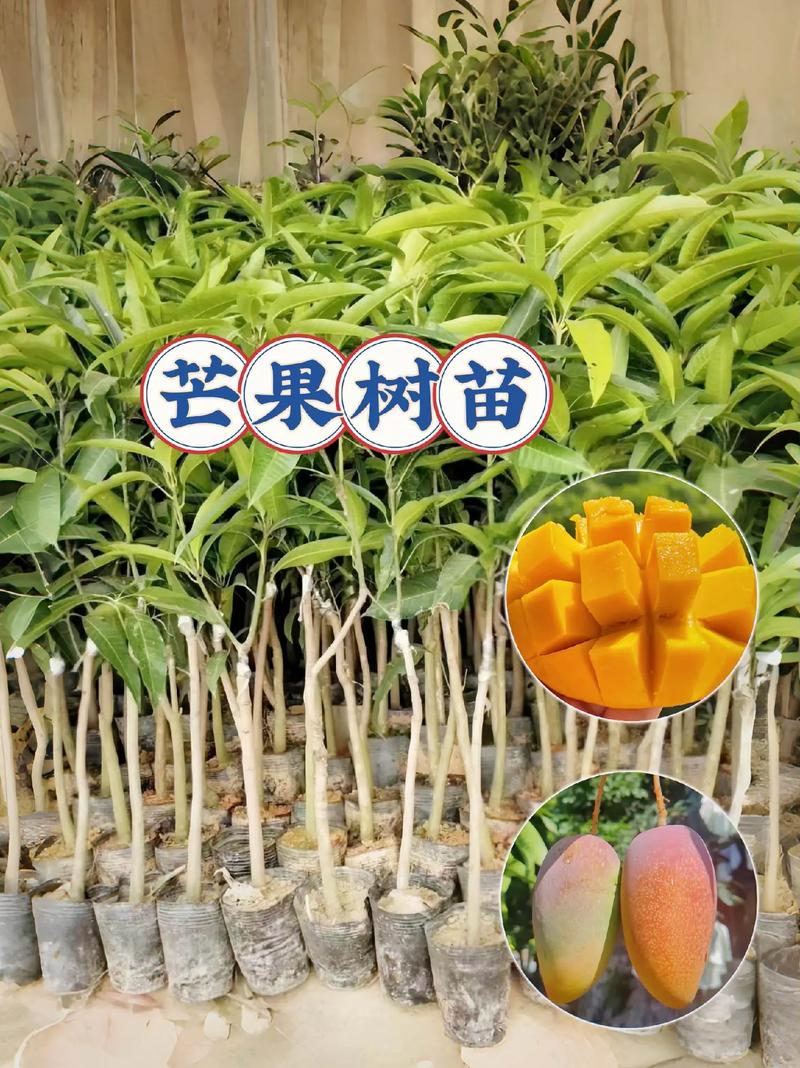 湖北适合栽哪些果树，湖北水果种植方法有哪些。 湖北适合栽哪些果树，湖北水果种植方法有哪些。 蔬菜种植