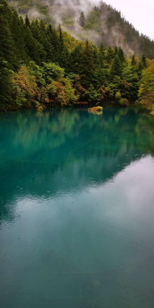 四川风景优美的农村有哪些？求推荐，金胜水果种植基地地址。 四川风景优美的农村有哪些？求推荐，金胜水果种植基地地址。 家禽养殖