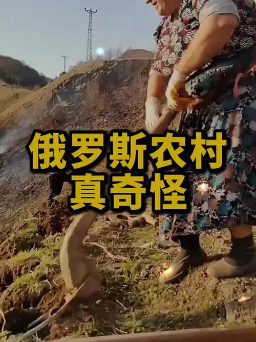 俄罗斯种地现在需要什么条件，莫斯科种水果怎么种植的。 俄罗斯种地现在需要什么条件，莫斯科种水果怎么种植的。 畜牧养殖